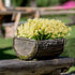 6 Bundles Artificial Daffodils Flowers, Fake Artificial Greenery UV Resistant No Fade Faux Plastic Plants for Wedding Bridle Bouquet Outdoor Home ...