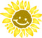 Sunshine Flower Stencil, 10 x 10 inch (M) - Large Flower Face Baby Childs Nursery Stencils for Painting Template...