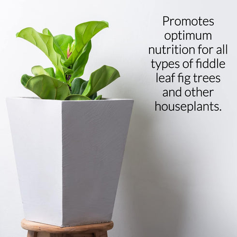 Professional Liquid Fiddle Leaf Fig Plant Fertilizer | 3-1-2 Concentrate for House Plants | Multi-Purpose Blend & Gardening Supplies | 8 oz Bottle...