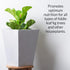 Professional Liquid Fiddle Leaf Fig Plant Fertilizer | 3-1-2 Concentrate for House Plants | Multi-Purpose Blend & Gardening Supplies | 8 oz Bottle...