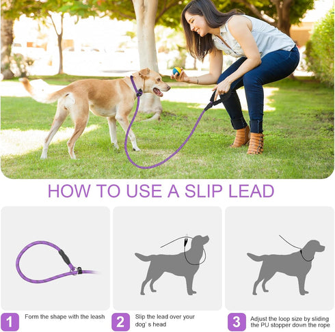 Slip Lead 6 FT for Small and Medium Dogs,Puppy Dog Training Leash Heavy Duty,No Pull Reflective Nylon Dog Leash,Rope Training Leash for Dogs That ...