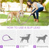 Slip Lead 6 FT for Small and Medium Dogs,Puppy Dog Training Leash Heavy Duty,No Pull Reflective Nylon Dog Leash,Rope Training Leash for Dogs That ...