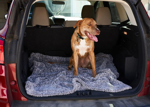 Pet Parents Pet Blanket, Water Resistant Cat Blanket, Dog Blanket, Puppy Blanket, Dog Blanket for Small Dogs, Dog Blanket for Medium Dogs, Dog Bla...