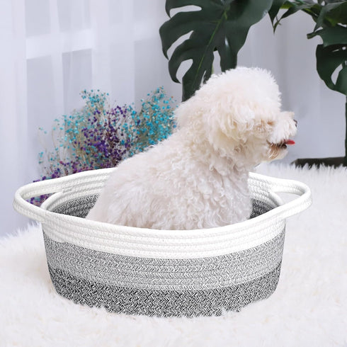 ABenkle Small Woven Basket, 12"x 8" x 5" Cute Small Basket, Rope Room Shelf Storage Basket, Cat Dog Toys Basket Chest Box, Empty Decorative Gift B...