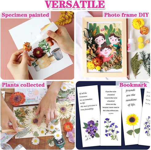 Vignee Real Dried Pressed Leaf Flowers-Multiple Colorful Pressed Flowers Daisies for Craft Resin Jewelry Making Art Craft DIY and Soap Candle Scra...