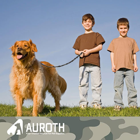 AUROTH Dog Leash, Heavy Duty Dog Leash Bungee, No Pull Dog Leash for Shock Absorption, Black Dog Training Leashes for Medium Large Breed Dogs 6FT,...