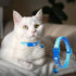 Jecikelon 6 PCS Puppy Collars Adjustable Pup Collar for Small Pet Dog Polyester Cat Collar with Bell Basic Collar for Small Dogs (Small, Crack)...
