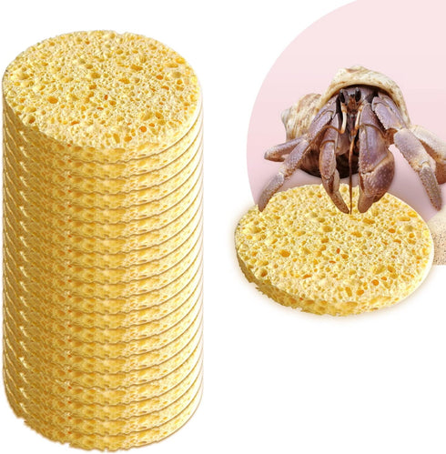 20 Pieces Hermit Crab Sponges,Real Pets Crab Sea Sponges in Yellow,Provide Nutrients Crab Sponges,Hermit Crab Water Dish Sea Sponge,for Pet Hermit...