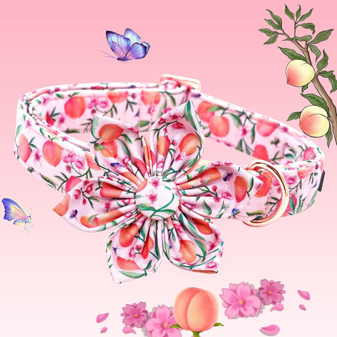 Lionheart glory Dog Collar with Flower Pink Peach Dog Collar Girl Soft Durable Adjustable Collar Flower Spring Collar Dog Bow for Small dogs...
