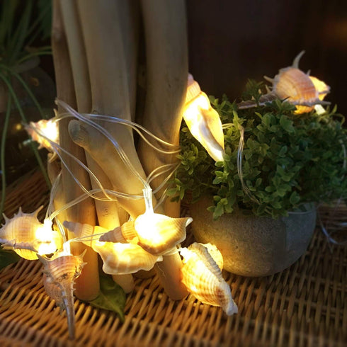 Starryfill Ocean Real Conch 10 LED String Lights 9.0Ft Waterproof Battery Operated Warm White with Timer for Beach Themed Indoor Covered Outdoor B...