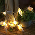 Starryfill Ocean Real Conch 10 LED String Lights 9.0Ft Waterproof Battery Operated Warm White with Timer for Beach Themed Indoor Covered Outdoor B...