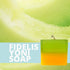 Fidelis Yoni Soap Bar (2 Pack) 3.5 Oz pH Balanced V Clean Natural Feminine Wash (Honeydew) 3.5 Oz...