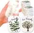 10PACK Natural Plant Based Biodegradable Eco-Friendly Cellulose Dish Sponges: Non Scratch, Multi-Purpose Kitchen,Household,Bathroom Cleaning Spong...
