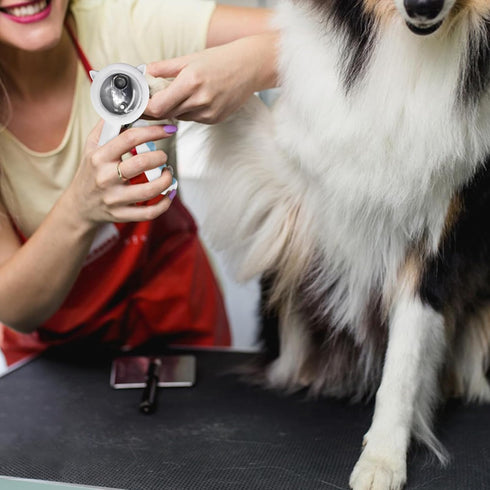 WishLotus Pet Nail Clippers, Anti-Slip and Splash Dogs Nail Clipper with Clear Baffle and Hide Nail File Cat Claw Clippers Grooming Tool Accessori...