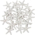 LJY 25 Pieces White Resin Pencil Finger Starfish for Wedding Decor, Home Decor and Craft Project, 2.3 Inches...