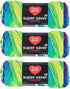 Red Heart Bulk Buy Super Saver Yarn (3-Pack) Parrot E300-4968......