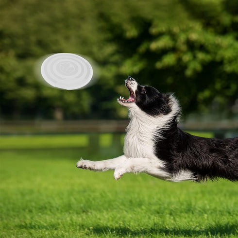 SLSON Dog Bowls Pet Collapsible Bowl with Cover Lids, 2 Pack, Light Blue and Green, Large...
