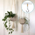 8PCS Ceiling Hooks for Hanging Plants, Self-Adhesive Ceiling Hooks No Drilling, PVC Clear Plant Hooks for Ceiling with Stainless Steel Plant Hooks...