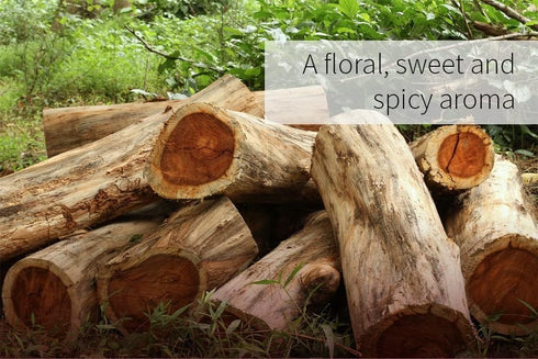 ArOmis Rosewood Essential Oil - 150-micron mesh filtered for purity.10ml (.34 Fl Oz), Undiluted, Premium, Oils Perfect for Aromatherapy...