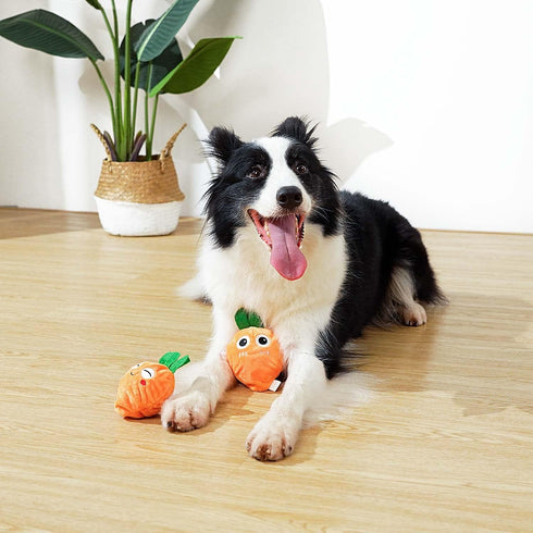 MewaJump Squeaky Dog Toys with Ball, 3-in-1 Plush Cute Dog Toy, Dog Chew Toy with 3 Layers, Dogs Puzzle Pet Toy for Teeth Cleaning, Puppy Enrichme...
