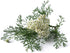 Yarrow Flower - Achillea millefolium Loose Leaf & Flower C/S from 100% Nature (04 oz)...