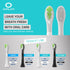 Compatible for Philips Sonicare W DiamondClean Replacement Toothbrush Heads HX6062 HX6063 HX6064, Whitening, Plaque Stain Removal with Medium Bris...