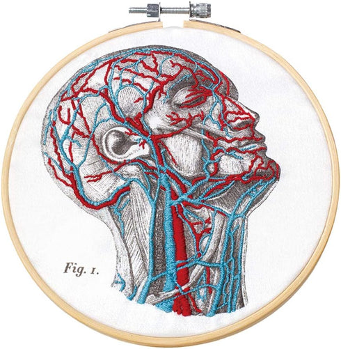 Mr. Sci Science Factory DIY Blood Vessel Embroidery Kit, Including Embroidery Cloth with 2 Pattern on Fabric, Embroidery Hoop, Color Threads and T...