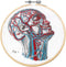 Mr. Sci Science Factory DIY Blood Vessel Embroidery Kit, Including Embroidery Cloth with 2 Pattern on Fabric, Embroidery Hoop, Color Threads and T...