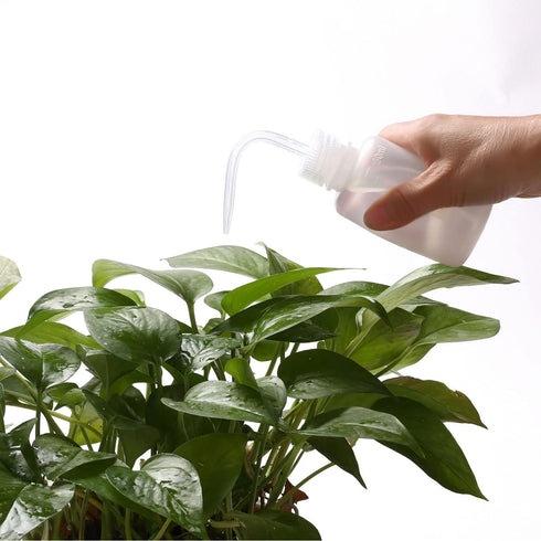 2Pcs Tattoo Wash Bottle 150ml | 5oz Water Squirt Bottle Succulent Watering, Safety Rinse Bottle Watering Tools for Medical Succulent Cleaning Wash...