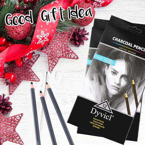 Dyvicl Professional Charcoal Pencils Drawing Set - 12 Pieces Soft, Medium & Hard Charcoal Pencil for Drawing, Sketching, Shading, Artist Pencils f...