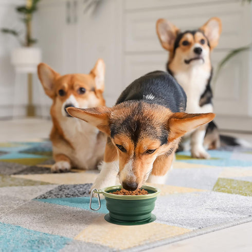 Collapsible Dog Bowl with Non Skid Suction Base -100% Pure Silicone Foldable Water Bowl, Portable Dog Bowl for Travel, Hiking & Camping 350mL 1 Pi...