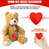 Voice Recorder, 16min USB Downloadable & Recordable Sound Chips Module for Stuffed Animals,Personal Voice Message for Mother's Day Christmas Plush...