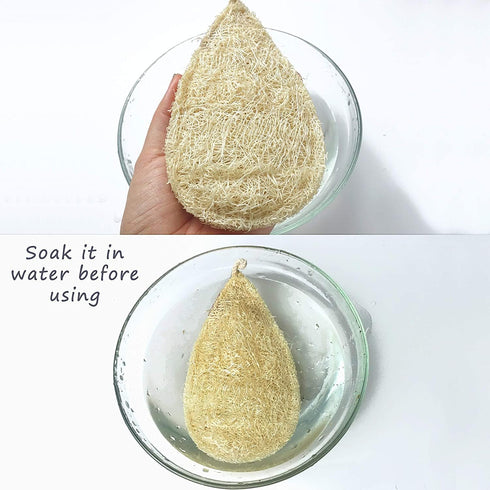 Natural Loofah Dish Sponge Pack 10 Miw Piw Vegetable Scrubber for Kitchen - 100% Biodegradable Compostable Dishwashing Scouring Pad Zero Waste Pla...