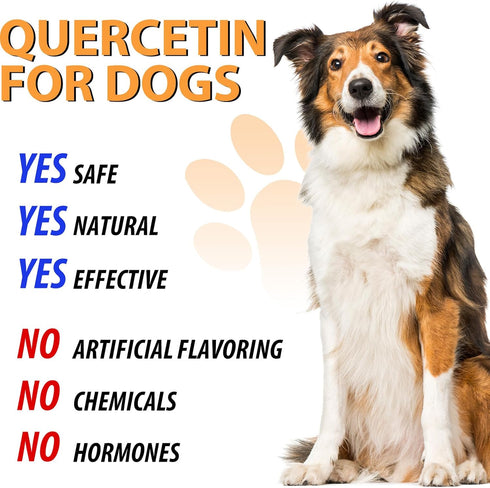 Quercetin for Dogs, Dogs Quercetin Supplement, Quercetin with Vitamin C for Dogs, Quercetin for Dogs Allergies, Support Balanced Immune System Ant...