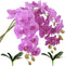 FagusHome 31" Artificial Silk Phalaenopsis Flowers 3 Pcs with 2 bundles Leaves Artificial Orchid Flowers Stem Plants in Purple Fake Butterfly Phal...