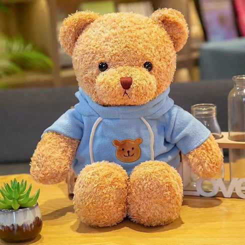 11.8 inches Teddy Bear Stuffed Animals Soft Plush Cute Teddy Bear with Hoodie Doll for Boys Girls (Blue)...