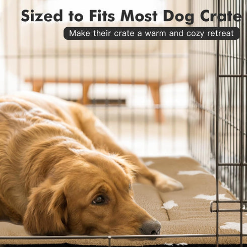 Mora Pets Cat Bed for Indoor Cats Washable Dog Crate Pad Dog Bed Mat for Small Dogs Pet Kennel Pad for 22 inch Cage Soft Flat Puppy Mattress Kitte...