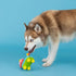 Fringe Studio Dog Toy, Life'S A Paw-Ty, Latex, Pet Shop Collection (366012)...