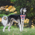 4th of July Dog Bandanas 2 Pack, American Flag Pet Scarf, Durable Fabric Pet Patriotic Scarf, Independence Day Bandana for Small Medium, and Large...
