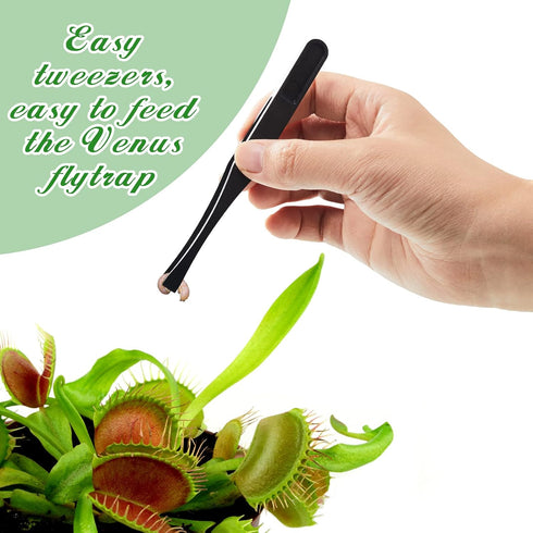 8 Pieces Carnivorous Plant Venus Fly Trap Feeding Tweezers Food Tongs 8 Styles Black Feeding Tongs Carbon Fiber Food Tweezers for Flytraps Pitcher...