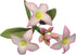 PME Daphne Flower Petal Cutters, Stainless Steel, Set of 2...