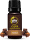 100% Pure & Undiluted Clove Essential Oil - Maintain Healthy Skin & Boost Body's Defence - for Aromatherapy & Topical Use - Sourced Directly from ...