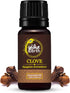 100% Pure & Undiluted Clove Essential Oil - Maintain Healthy Skin & Boost Body's Defence - for Aromatherapy & Topical Use - Sourced Directly from ...