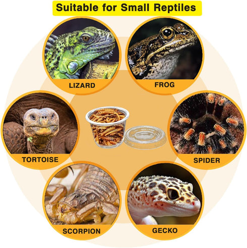 Small Reptile Food Plastic Replacement Cup Worm Water Dish Feeder Lizard Gecko Ceramic Pet Bowls with Tongs for Tortoise Lizard Bearded Dragon Fro...