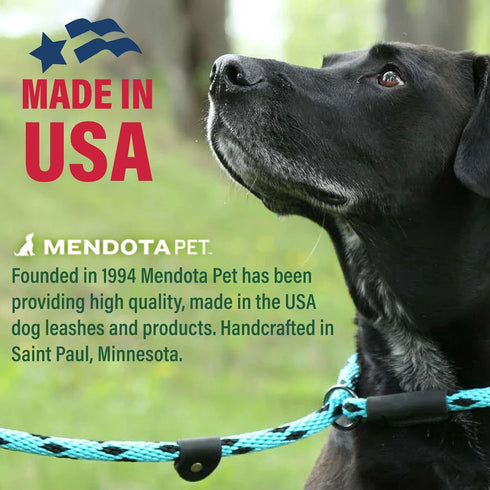 Mendota Pet Slip Leash - Dog Lead and Collar Combo - Made in The USA - Sunset, 1/2 in x 4 ft - for Large Breeds...