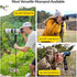GoPod: Trekking Pole Camera Mount - Ultralight Monopod for Hiking Pole & Walking Stick for use with DSLR, Camera, Smartphone, Shooting, Binoculars...