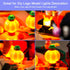 Upgraded Led Light Kit for LEGO Halloween Cat & Mouse Building Set, Compatible with LEGO 40570 (Model Not Included)...