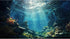 Aquarium Background Underwater World Corals and Tropical Fish Terrarium Background Various Undersea Aquatic Plants Rocks Aquarium Backdrop Beautif...