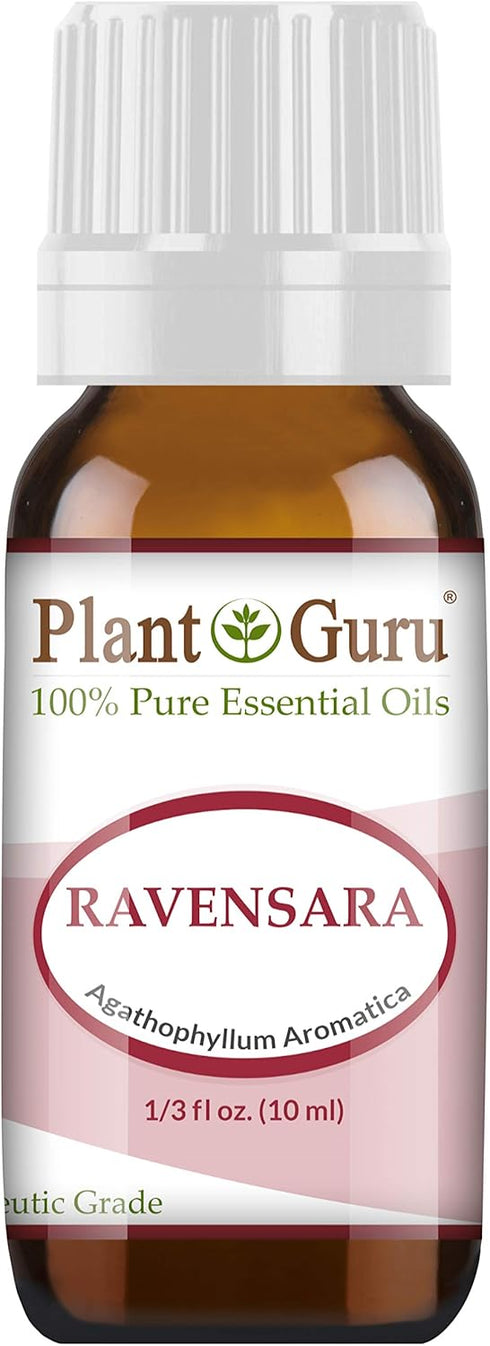 Wild Ravensara Essential Oil (Agathophyllum Aromatica Madagascar) 10 ml 100% Pure Undiluted Therapeutic Grade....