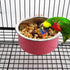 2 Pack Pet Food Water Bowl Plastic Basin and Stainless Steel Basin Combo Mountable Food Basin Dish for Rabbit Chinchilla Hamster Bird and Other Pe...